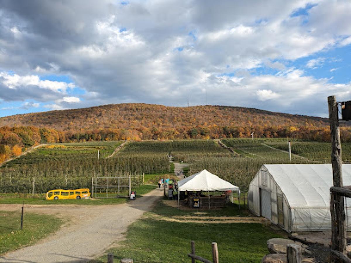 Wilklow Orchards