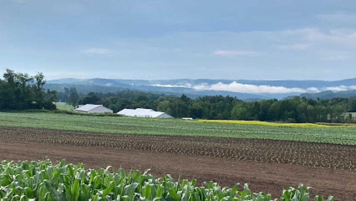 Dream Weaver Farm, LLC