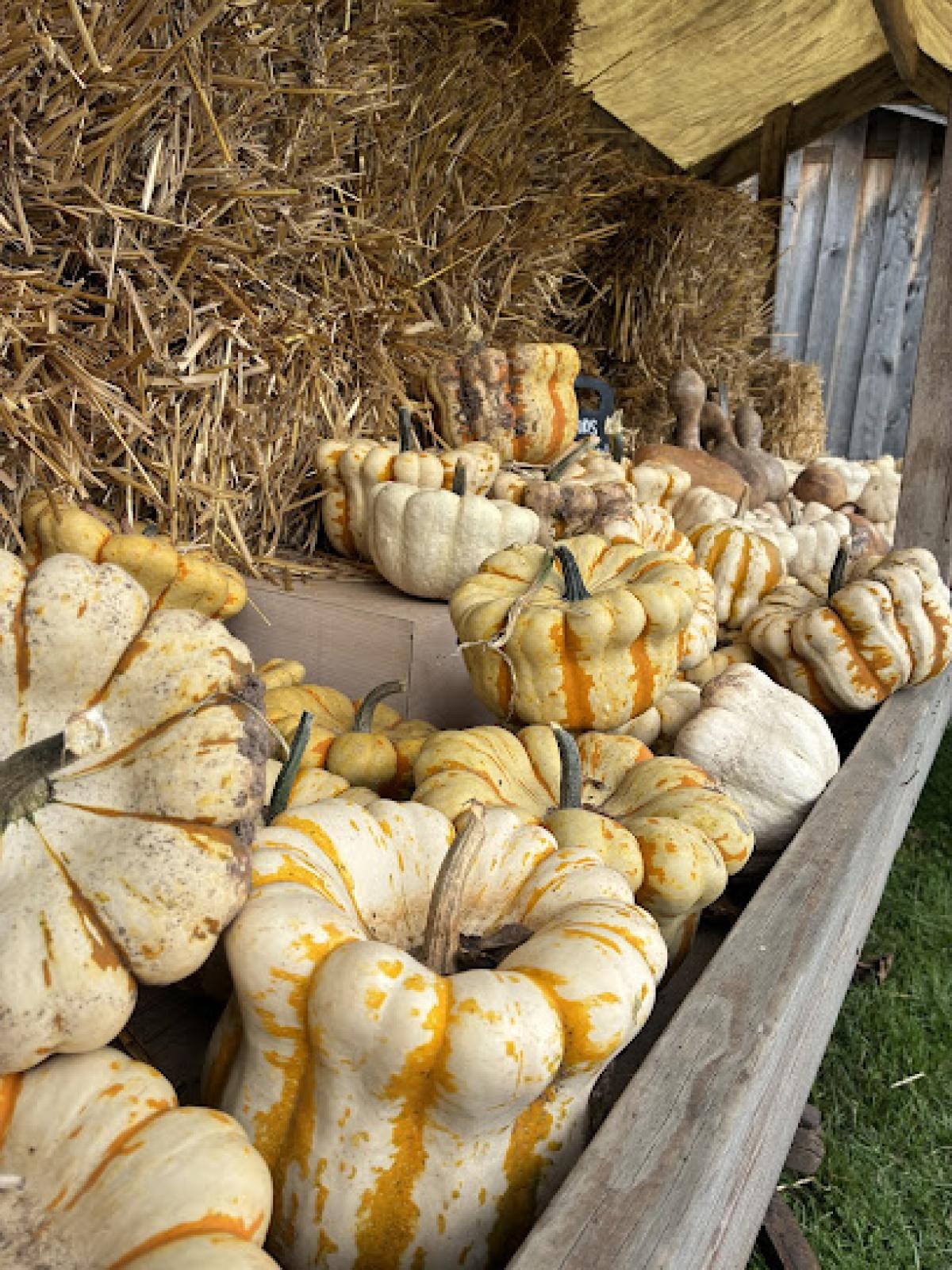 Covered Bridge Farm Market