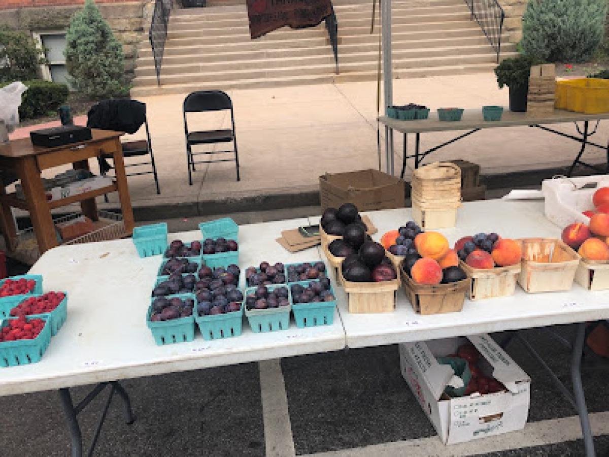 Fredonia Farmers' Market