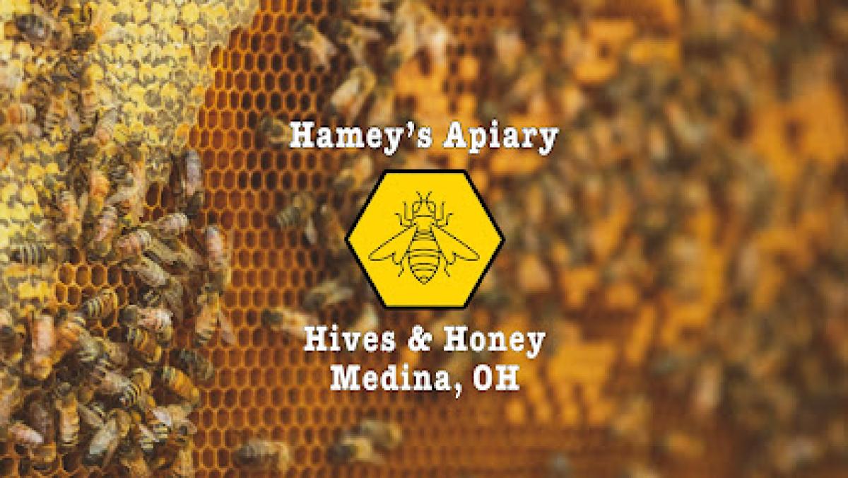 Hamey's Bees