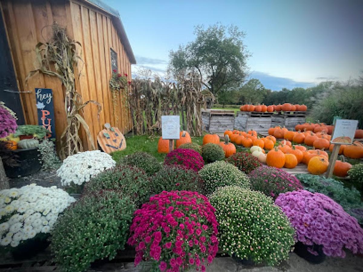 Knucklehead Farms LLC