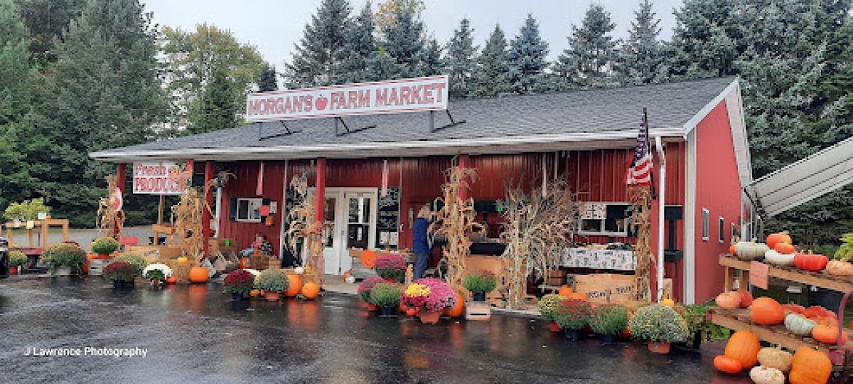 Morgan’s Farm Market