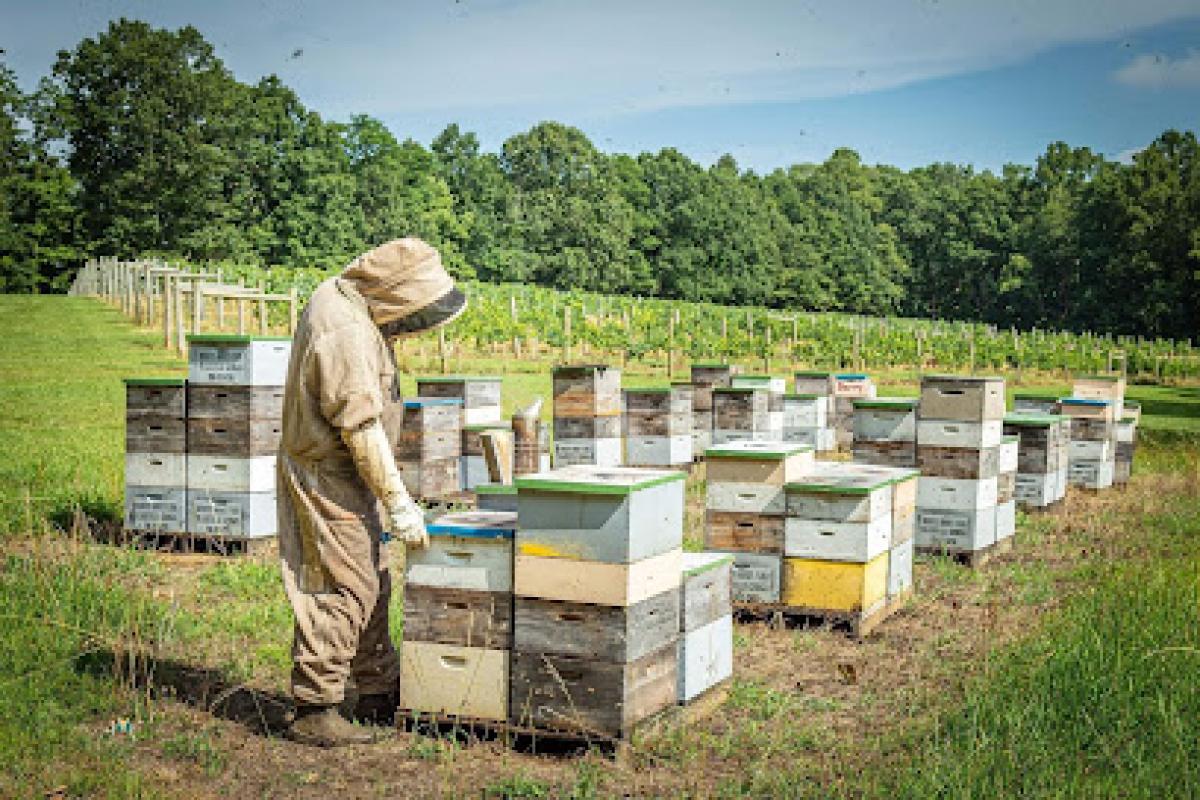 Berry’s Honey Farm
