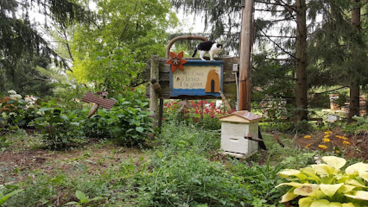 Remschneider Honey Farm