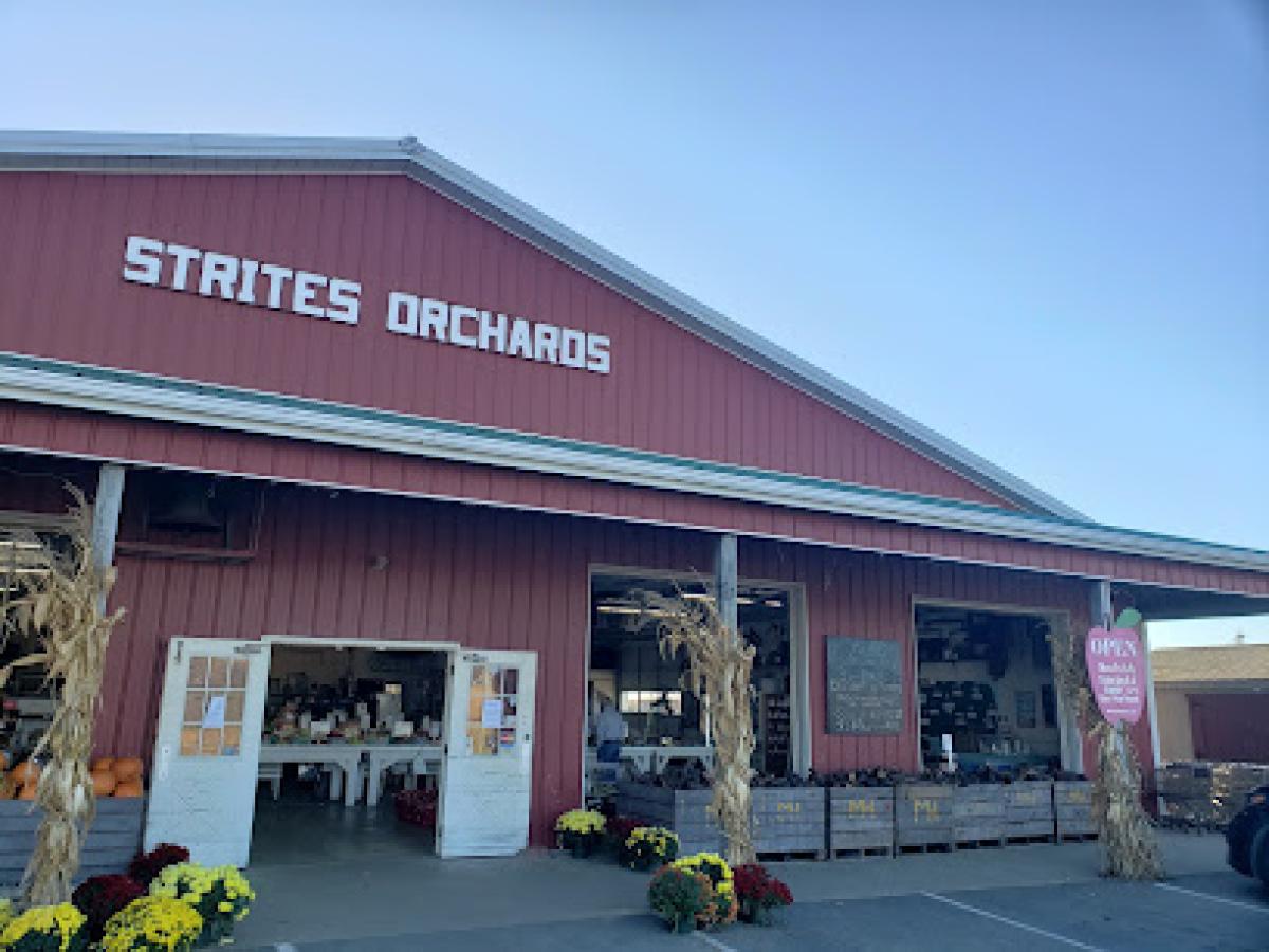 Strites Orchards