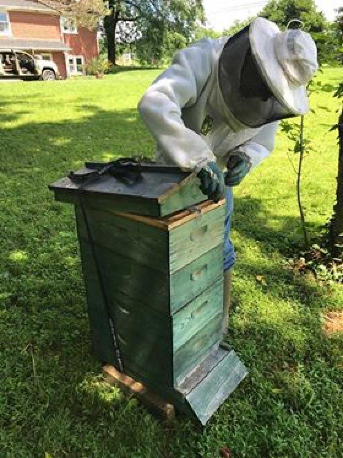 Haycock View Farm and Studio