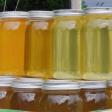 North Mountain Farm and Apiary (Honey)
