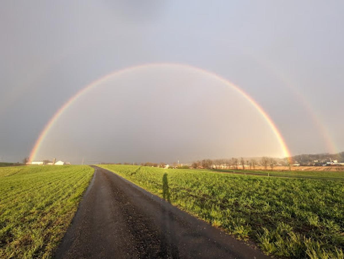 Gap View Farm Market