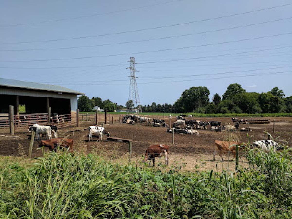 Dale Koehler & Sons Farm