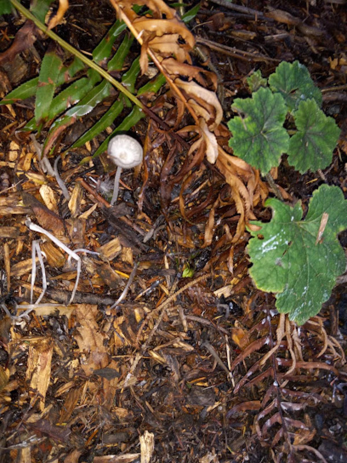 Snoqualmie Valley Honey Farm