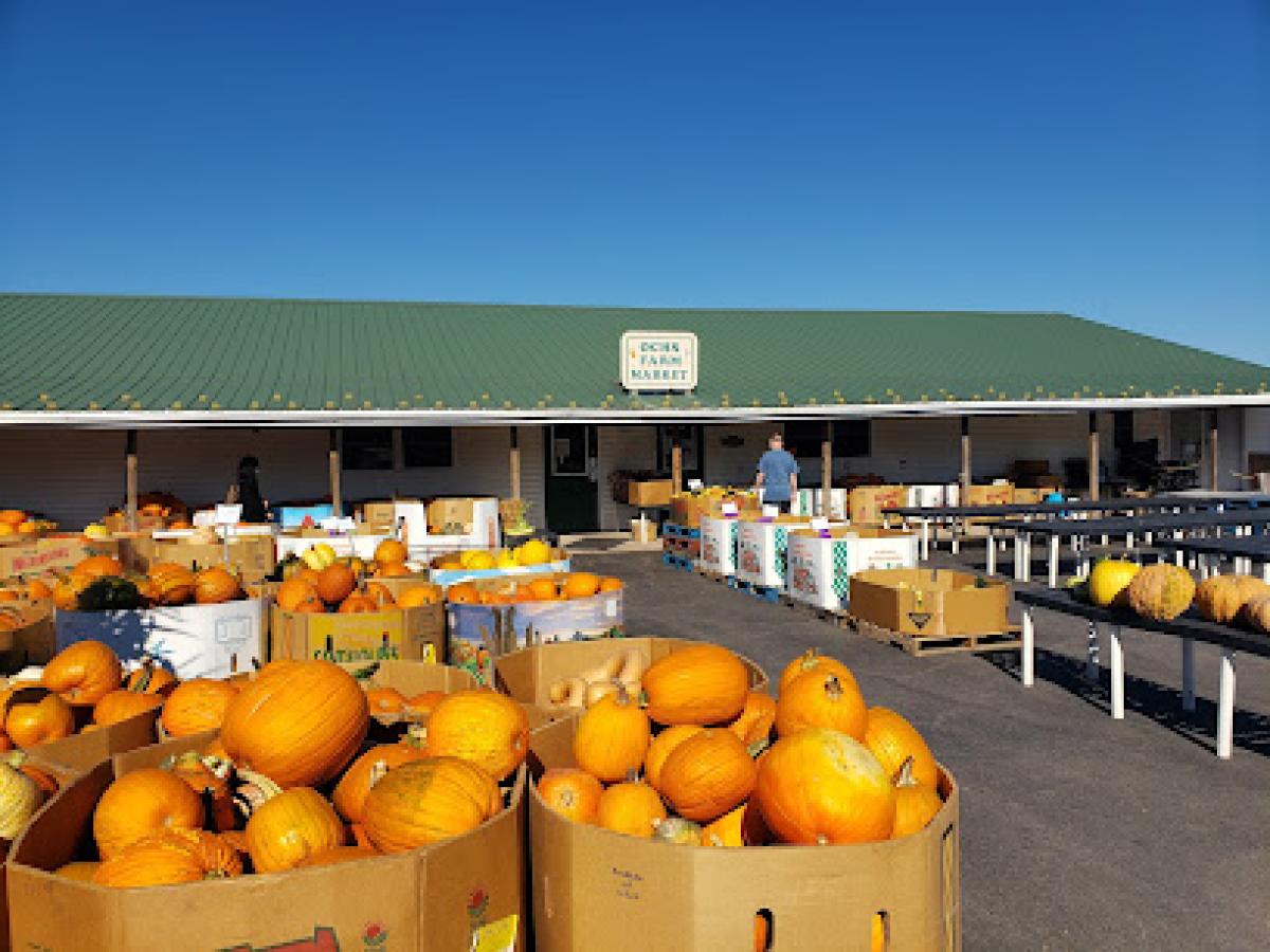 Ochs Farm Market