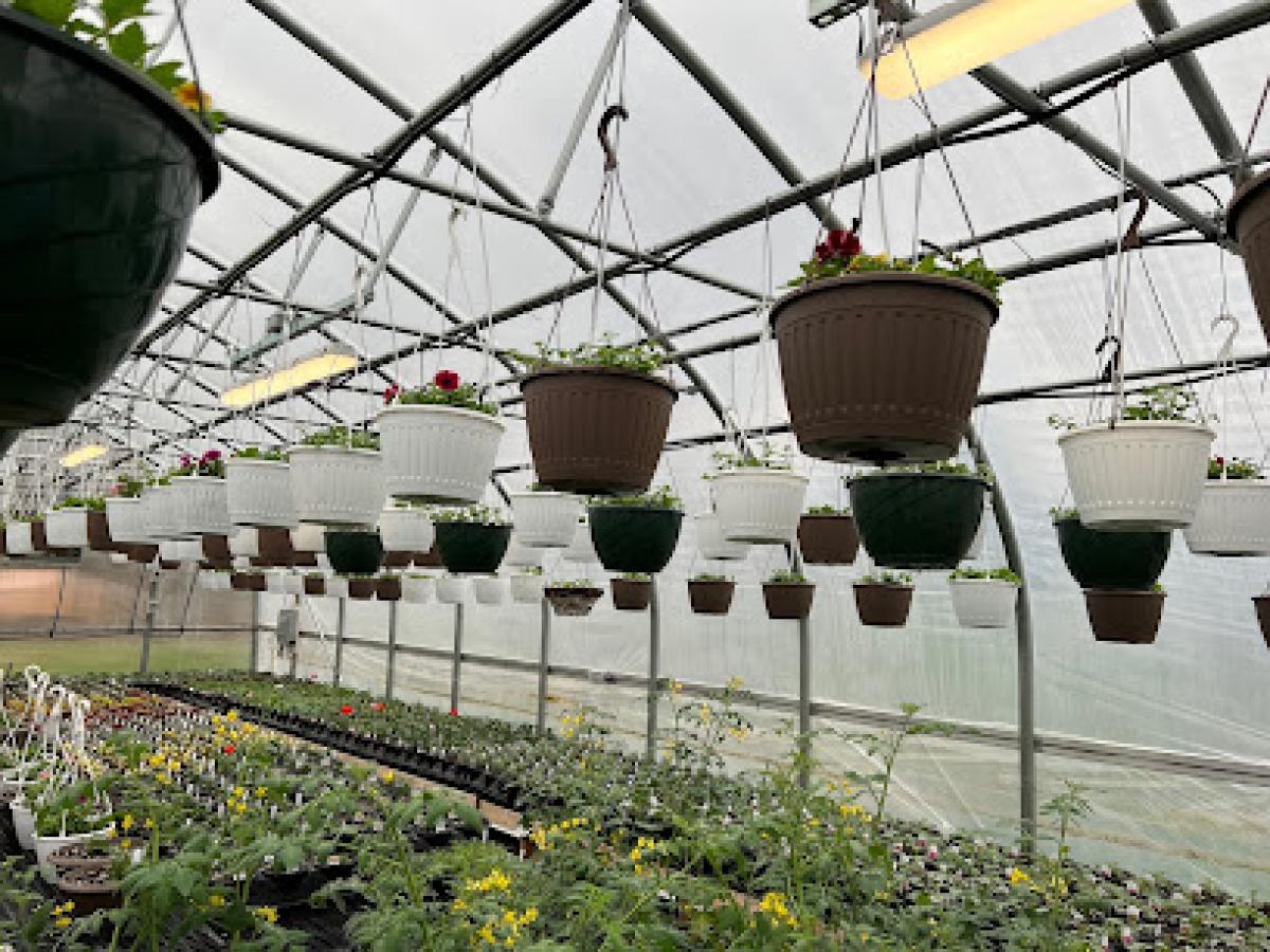 Nev & Nise Produce Greenhouse