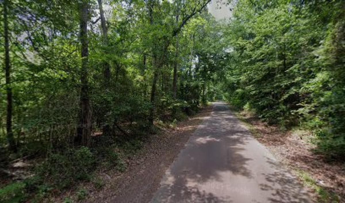 East Tx Wildflower Honey Farm