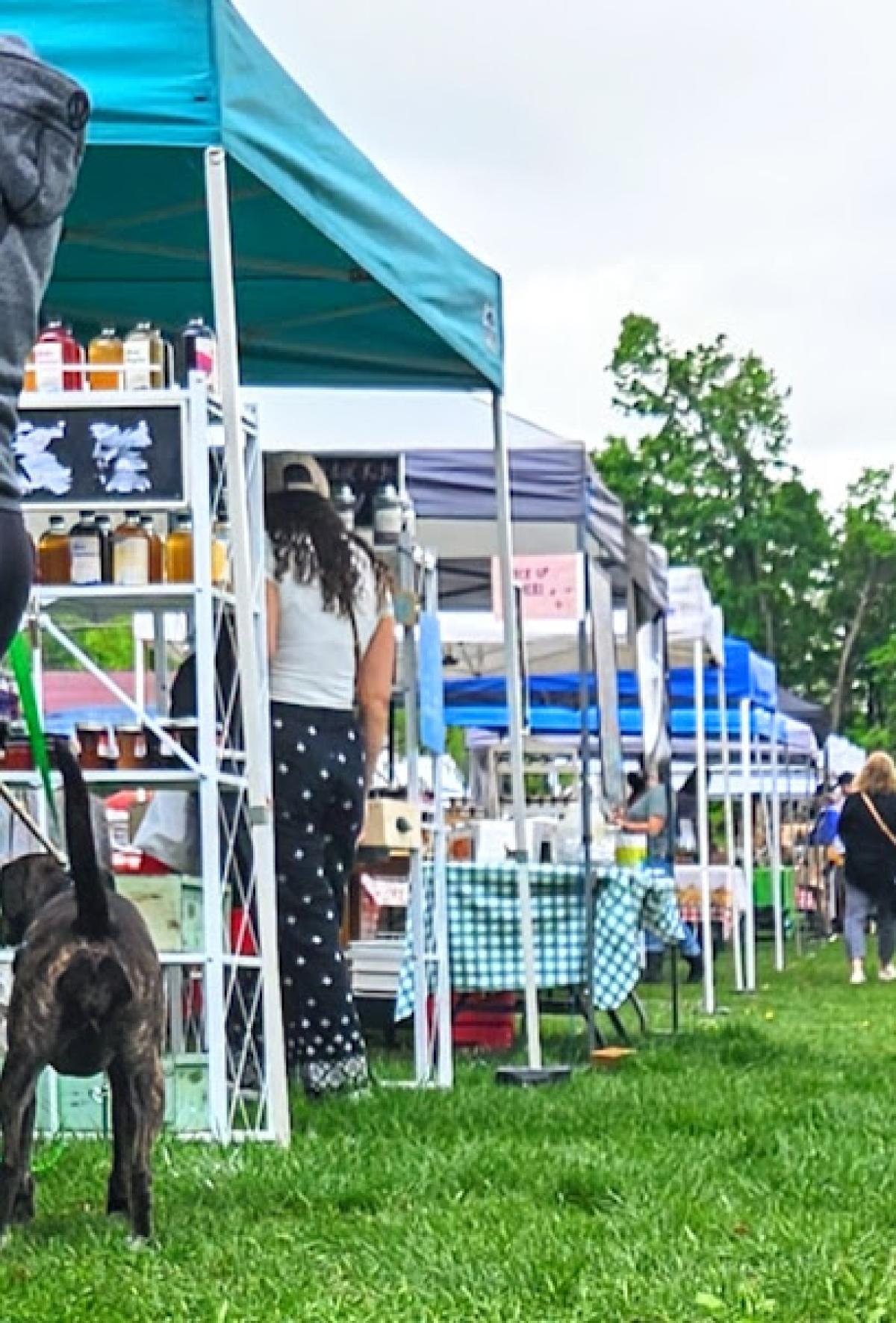 Saucon Valley Farmers' Market