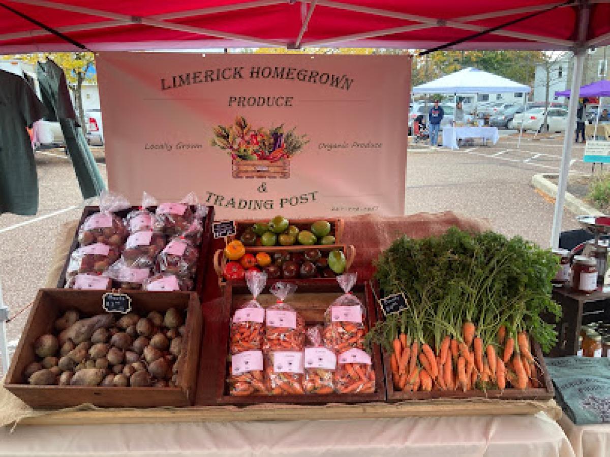 Limerick Homegrown Produce & Trading Post LLC