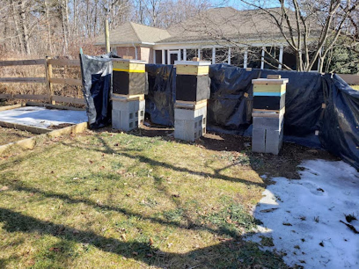Daffodil Hill Apiary and Honey Extraction Service