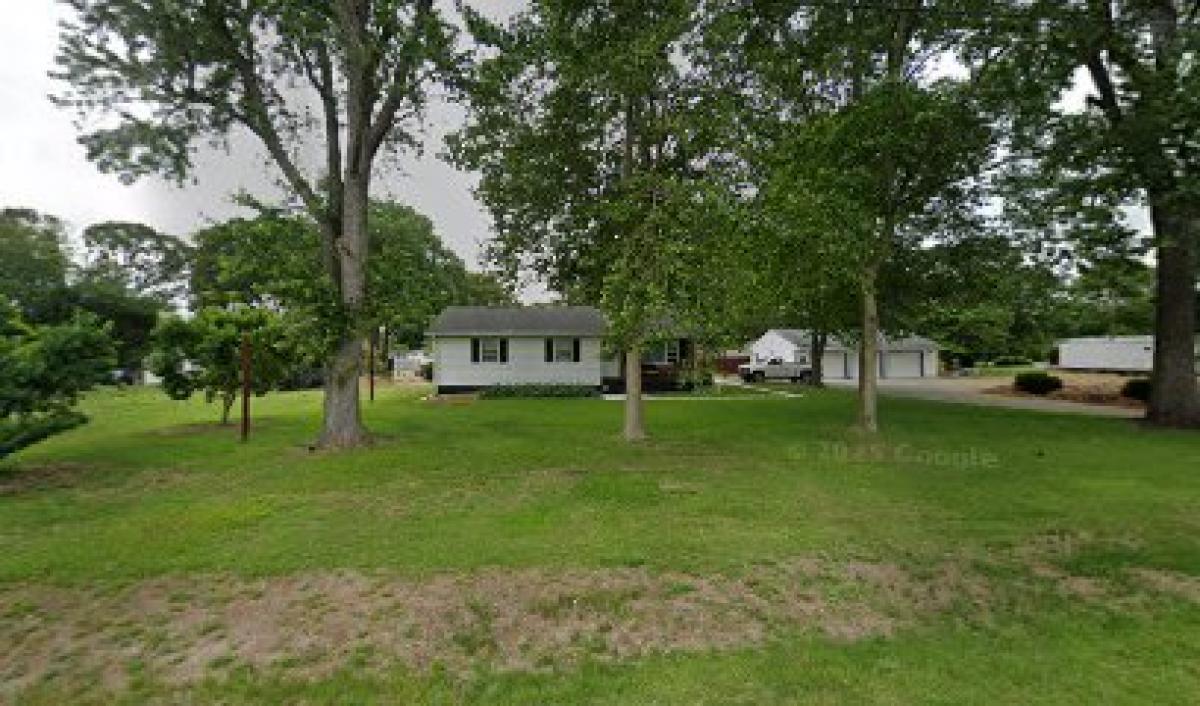 betty bee queen company