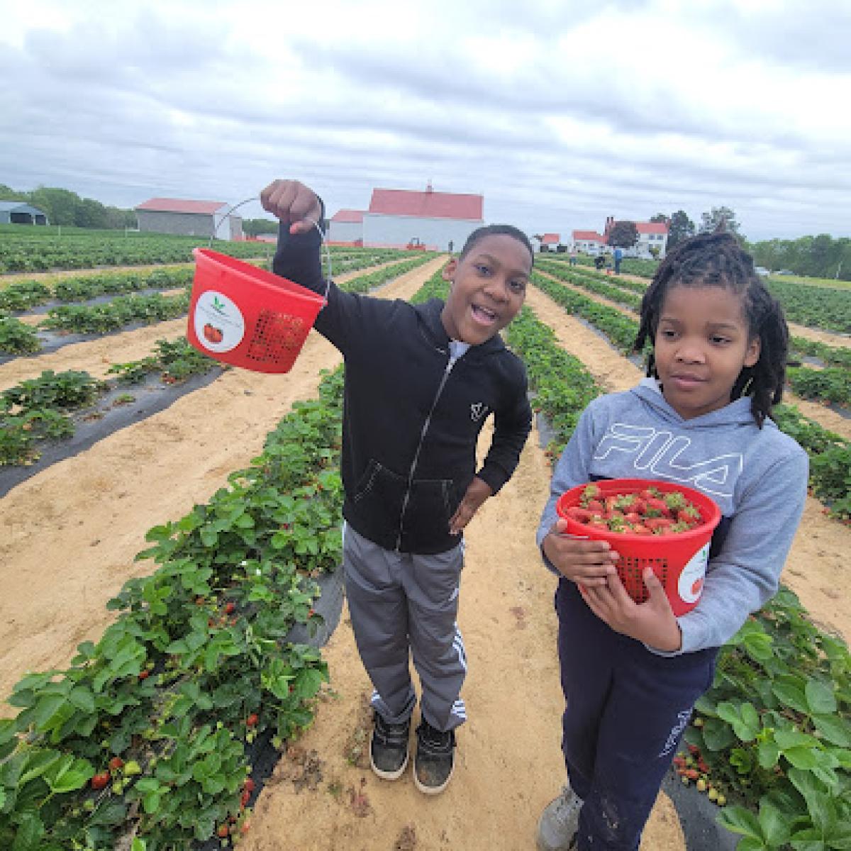 Lyon Family Farms, LLC