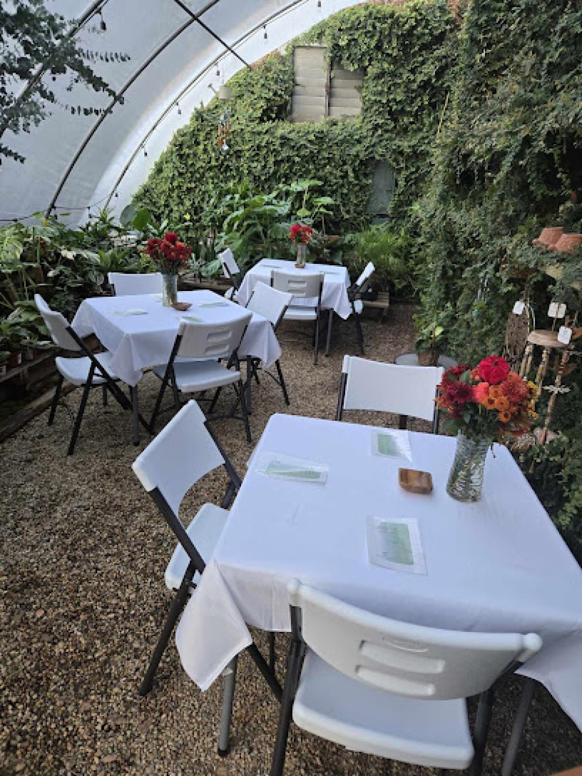 The Happy Seed Company