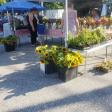 Severna Park Farmers Market