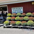 Skipper Farms