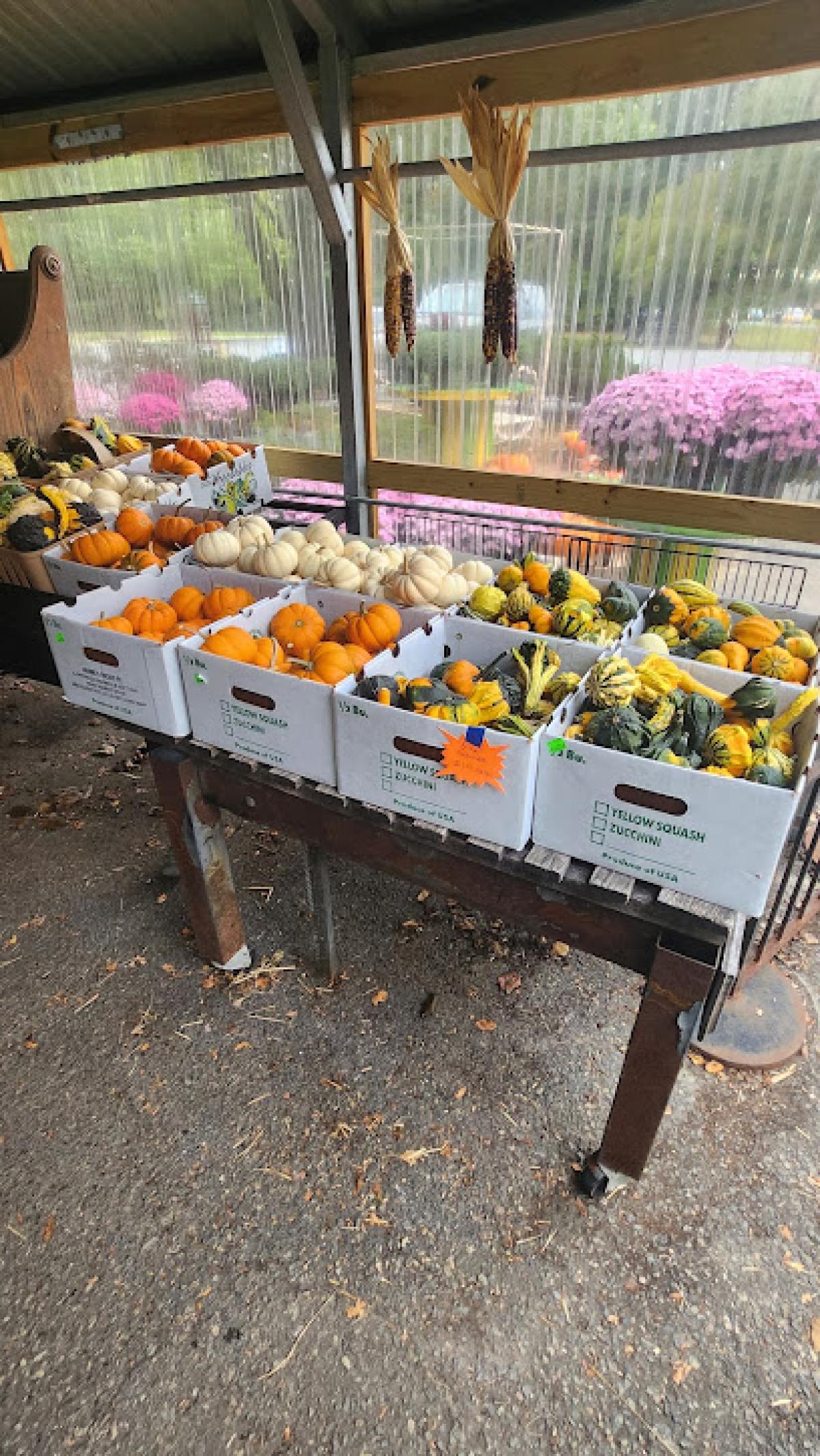 The Farmers Daughter Produce