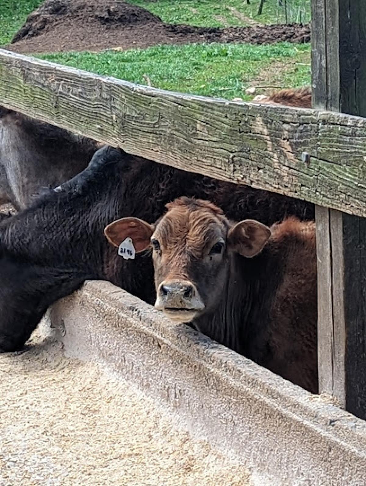 Melvin's Farm to Fork Store