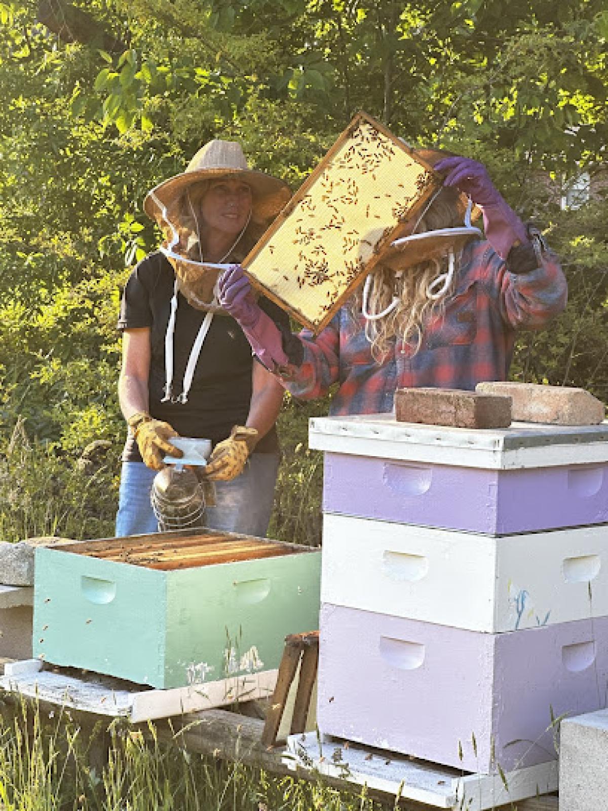 Holiday Honey Farm