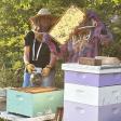 Holiday Honey Farm