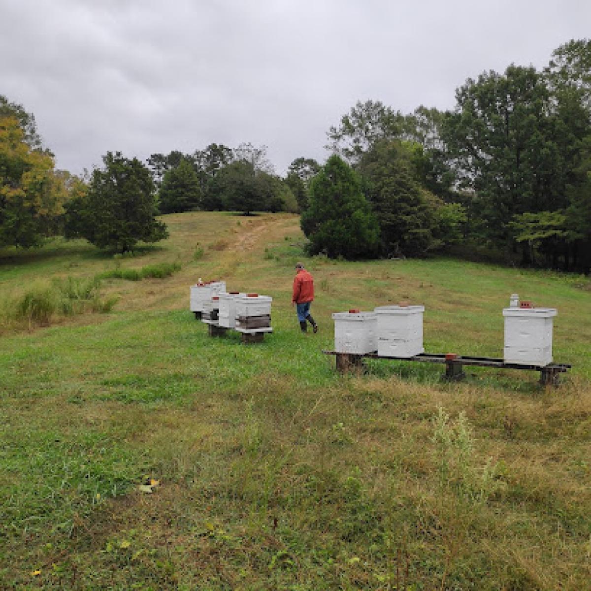 Renn Bee Farm