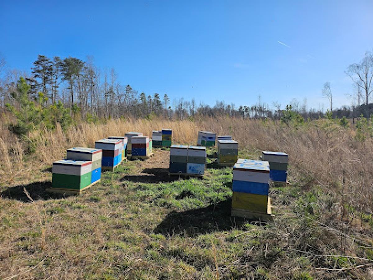 Elevated Apiary