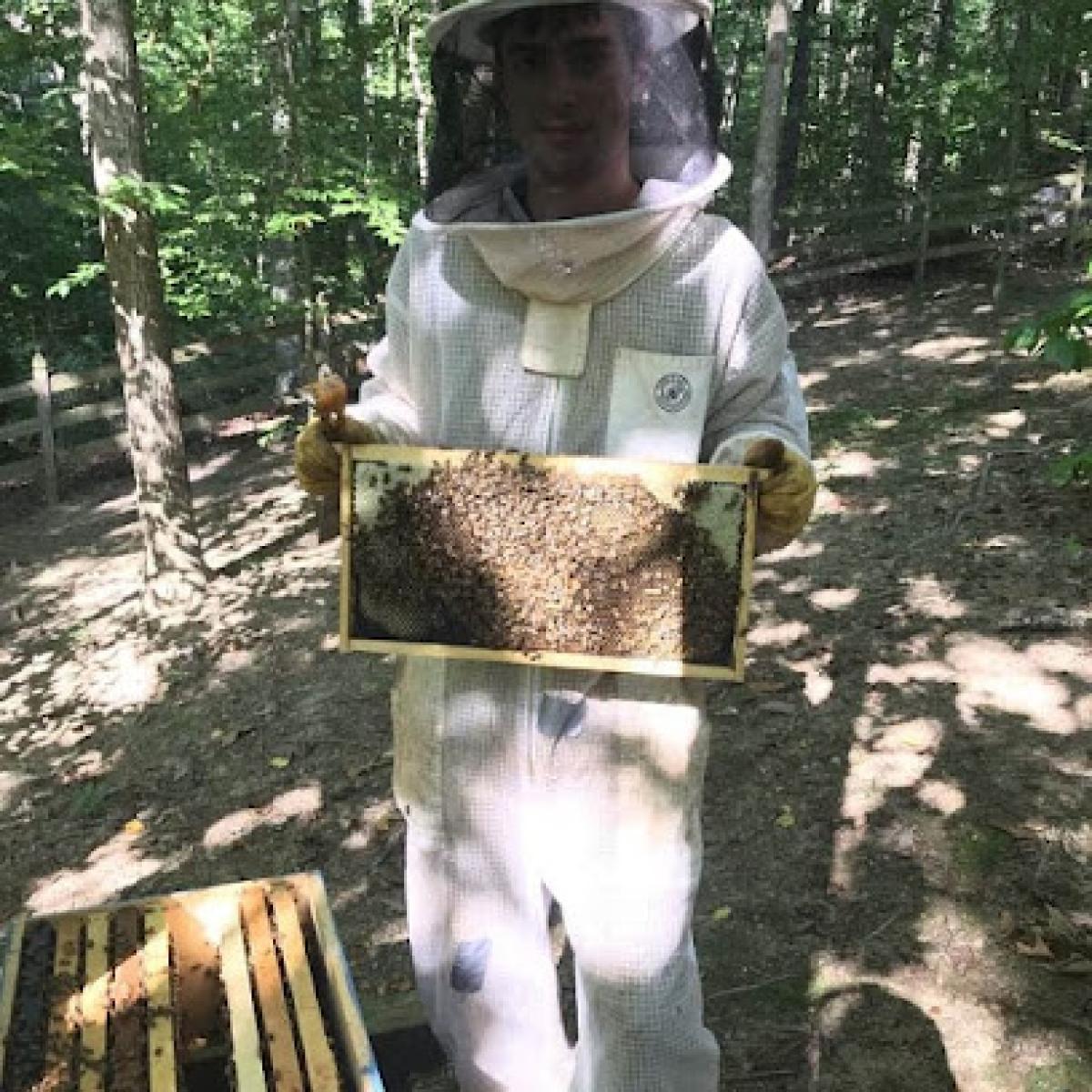 Noblebee Apiary