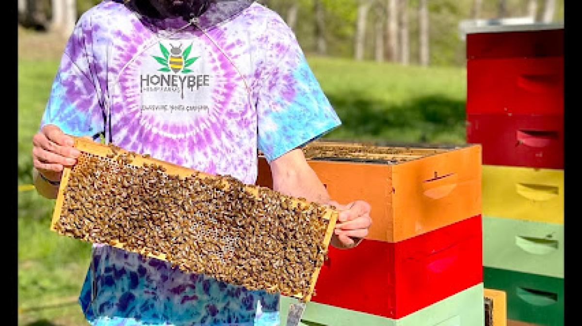 Honeybee Hemp Farms