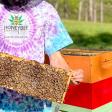 Honeybee Hemp Farms