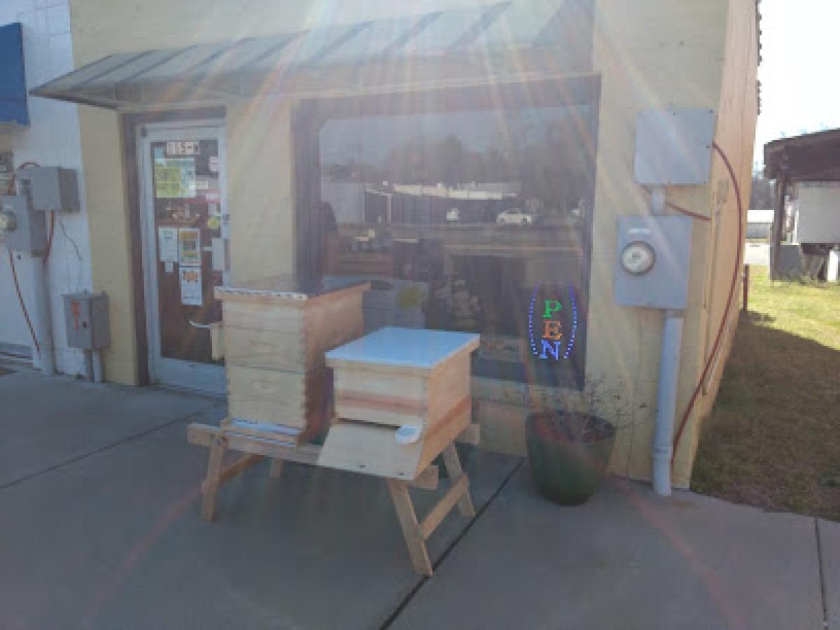 Shamrock's Buzzy Bee