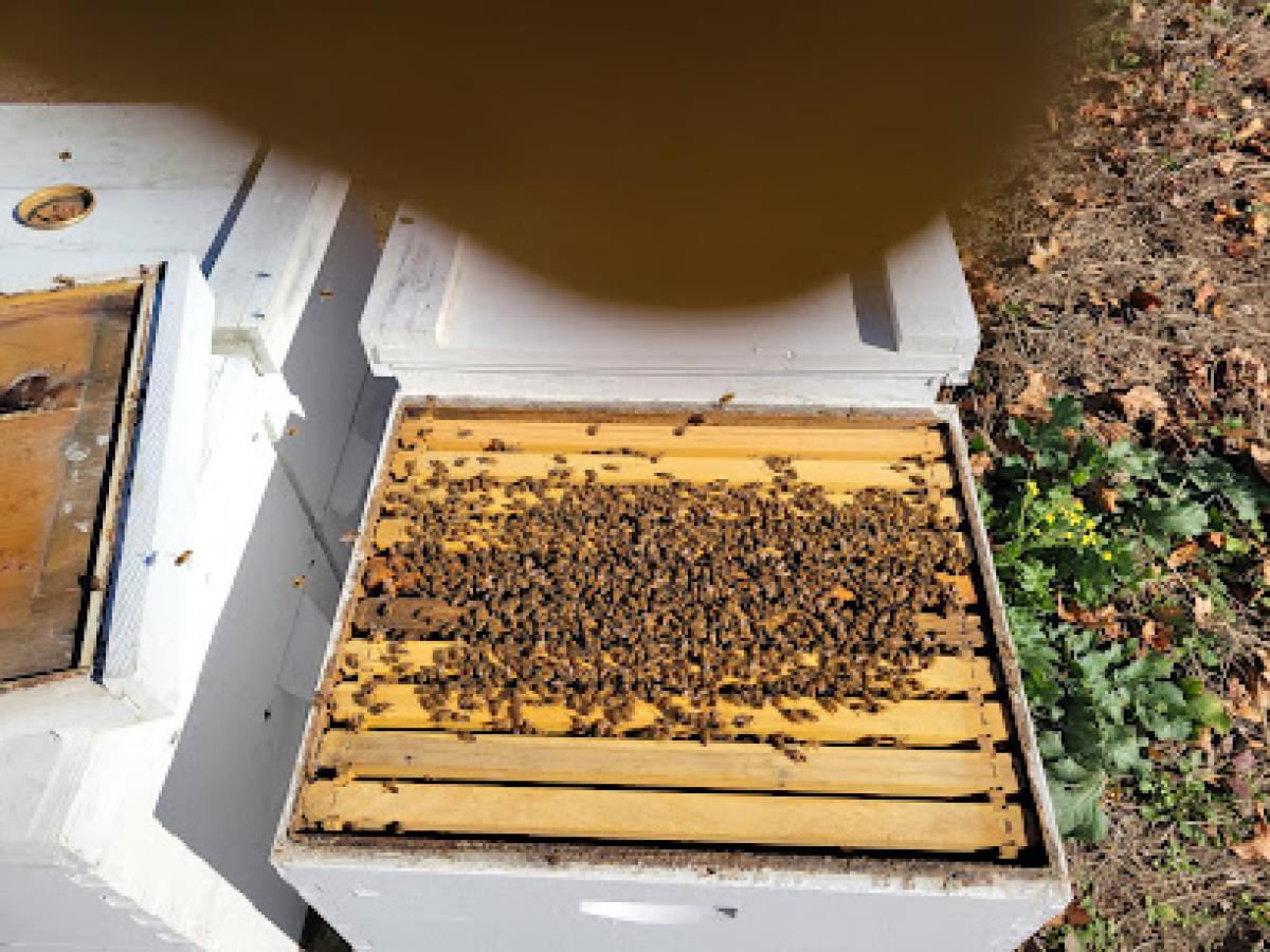 Crossroads Honey Farm, Inc.