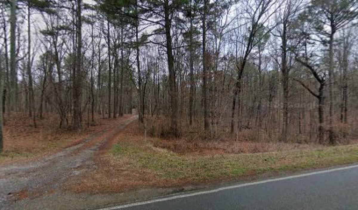 The Birds and The Bees Farm