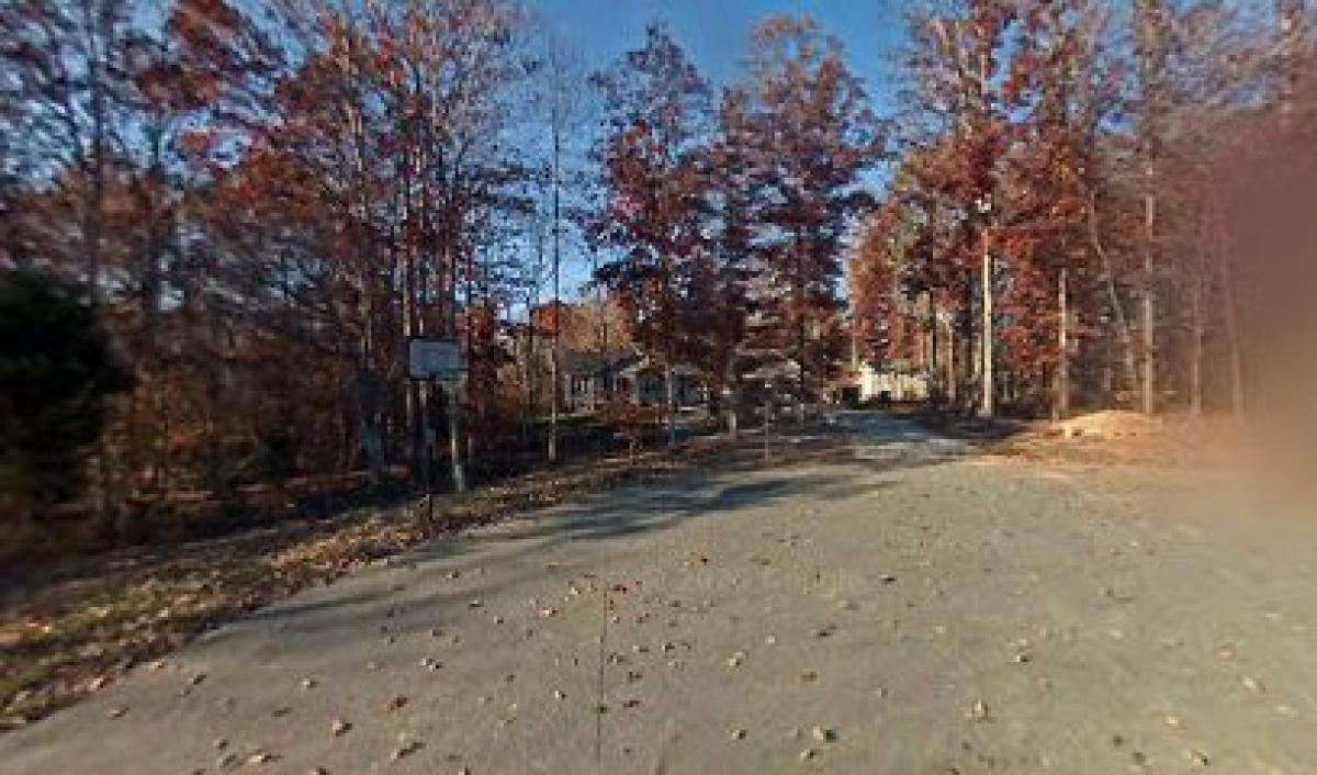 Shack Out Back Apiary