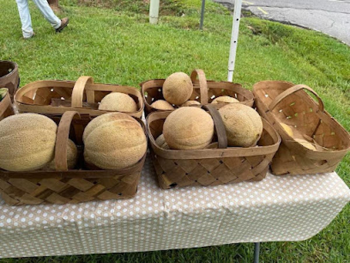 A Thousand Hills Farm Bessemer City, LLC