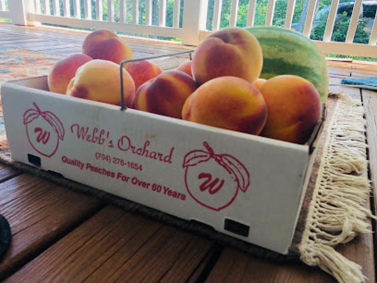 Webb's Orchard