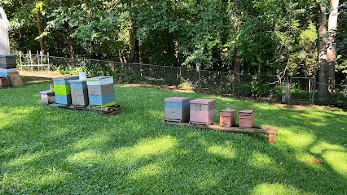 Papa Steve’s Bees, LLC