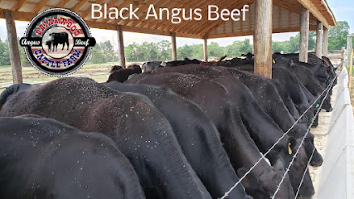 Briarwood Cattle Farm, LLC