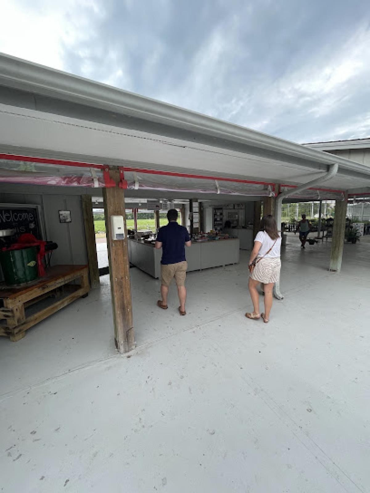 Lewis Strawberry Nursery & Farm