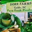 Dorr Farms