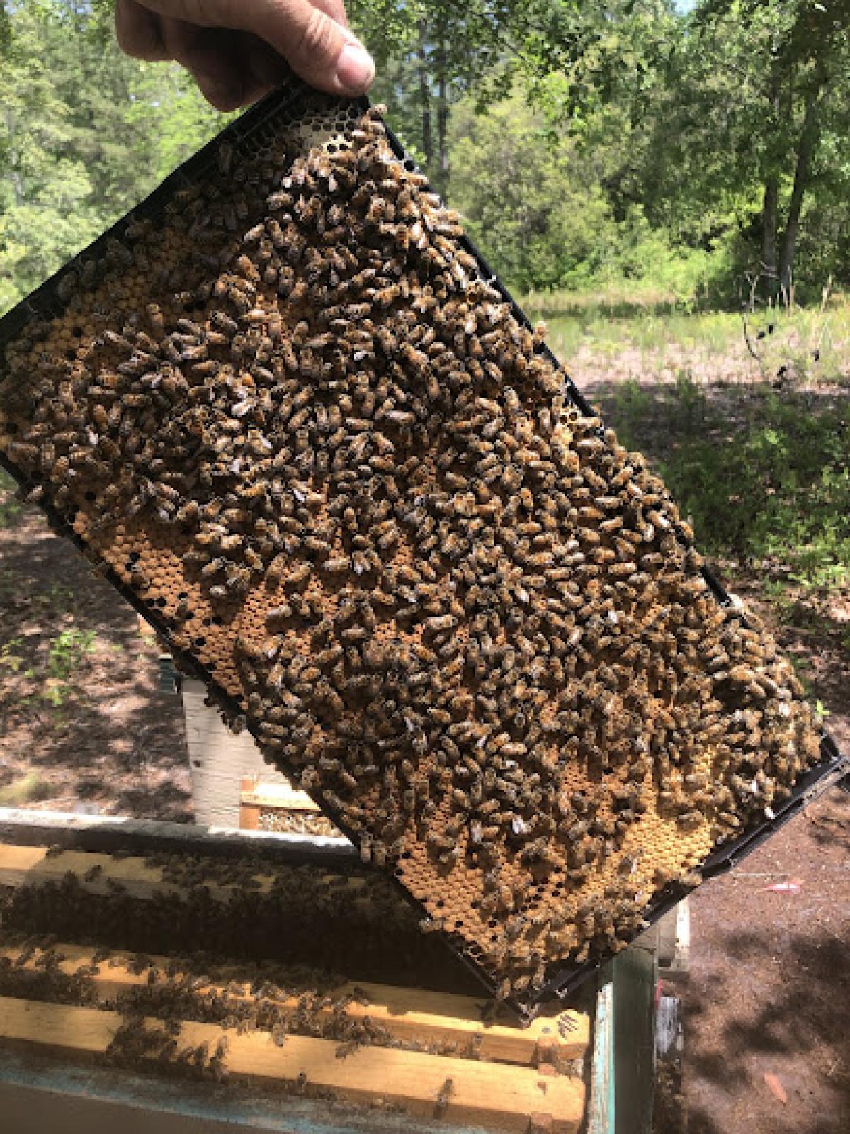 southeasthomestead LLC