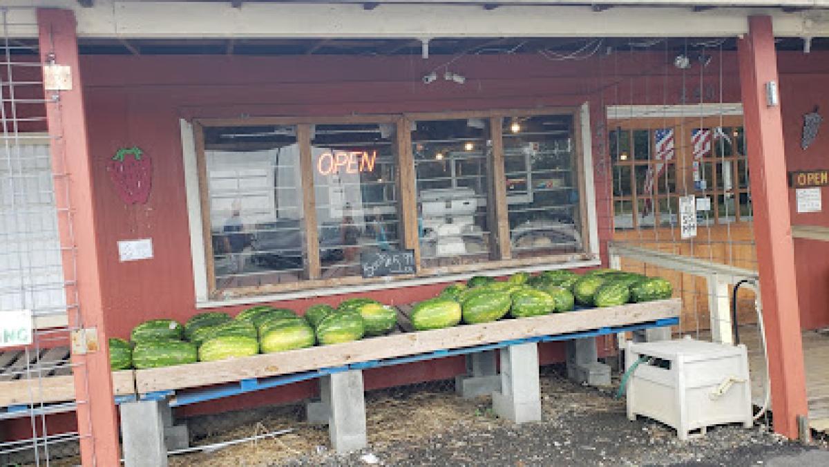 Bellews Country Store