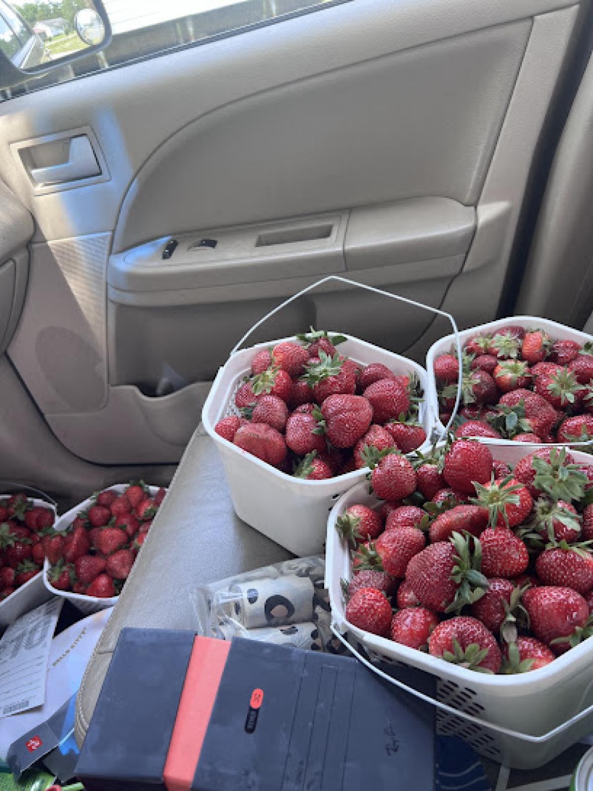 Black Mingo Produce @ Baxley Family Farms