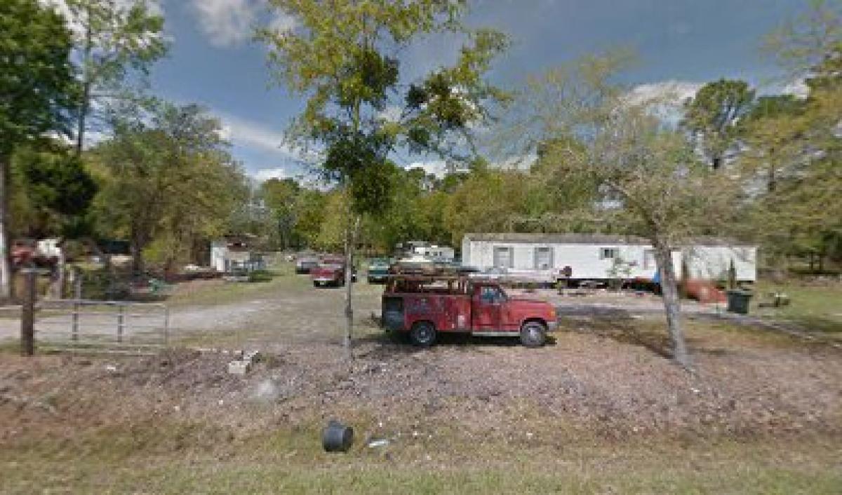 McCall's Bee Company