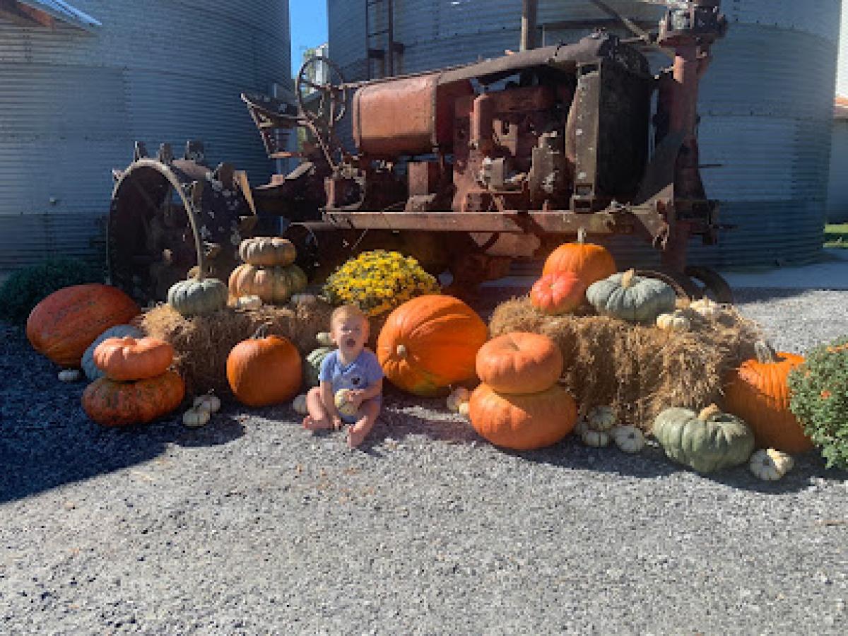 Honey Branch Farms LLC